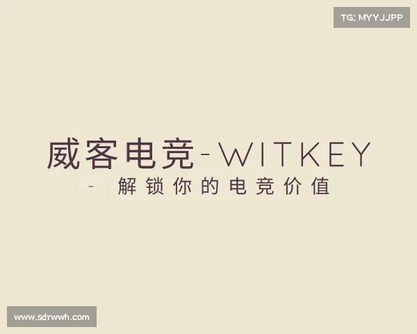 介绍威客电竞-Witkey - 解锁你的电竞价值